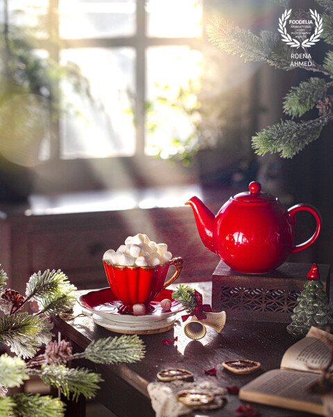 The cosy winter morning