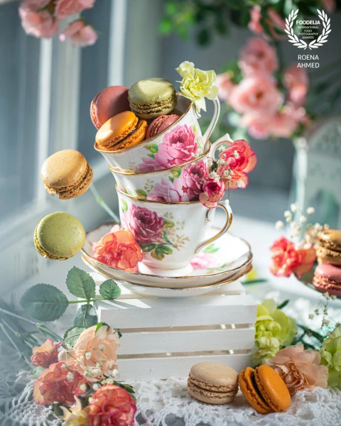 French macarons