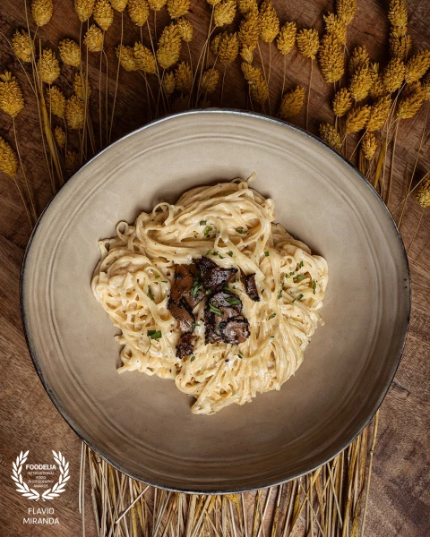 Pasta and Nature

Photo taken for ZEN FOREST Portugal by the fantastic Rachel Santos.