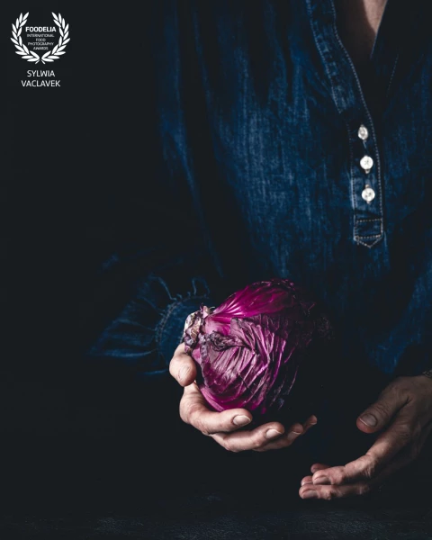 The purple hues and the texture of the red cabbage leaves needed some drama, so I created it.  Simpl...