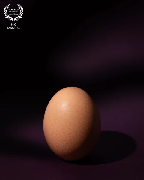 Beauty begins with simplicity.
A single egg, illuminated by light.