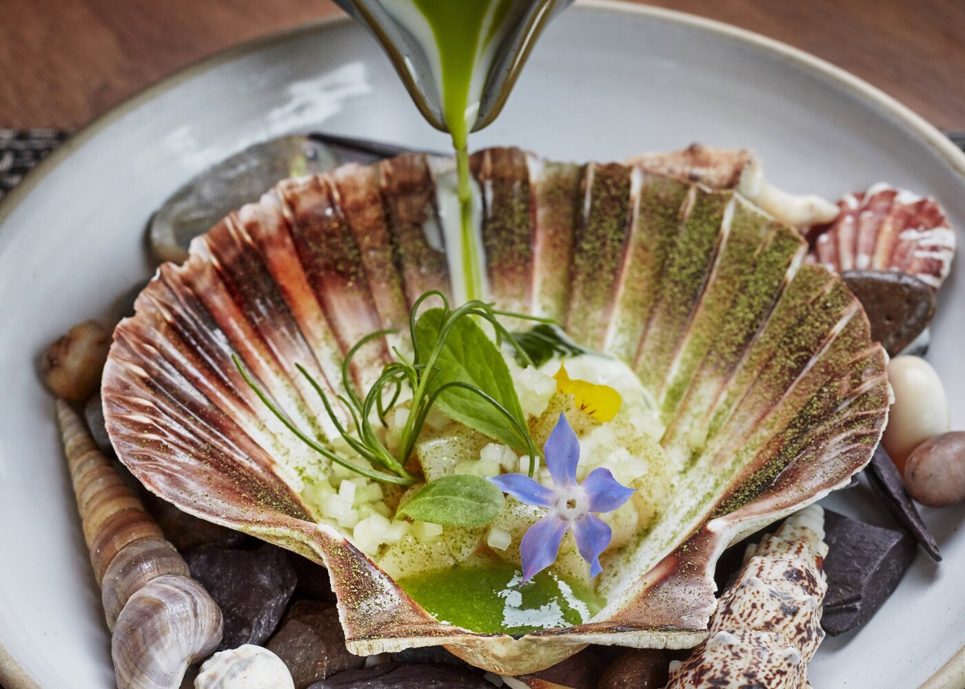 Such a lovely dish from Chef Luke Tipping from Michelin starred Simpsons Restaurant, Birmingham England. Lovely scallop dish with flowers and shells (though I don't think eating the shells is recommended.<br />
<br />
Chef: Luke Tipping @luketipping_ Twitter: @LukeTipping1<br />
Restaurant: Simpsons, Birmingham -IG: @simpsons_restaurant Website: www.simpsonsrestaurant.co.uk<br />
Photographer: @jodihindsphoto www.jodihinds.com