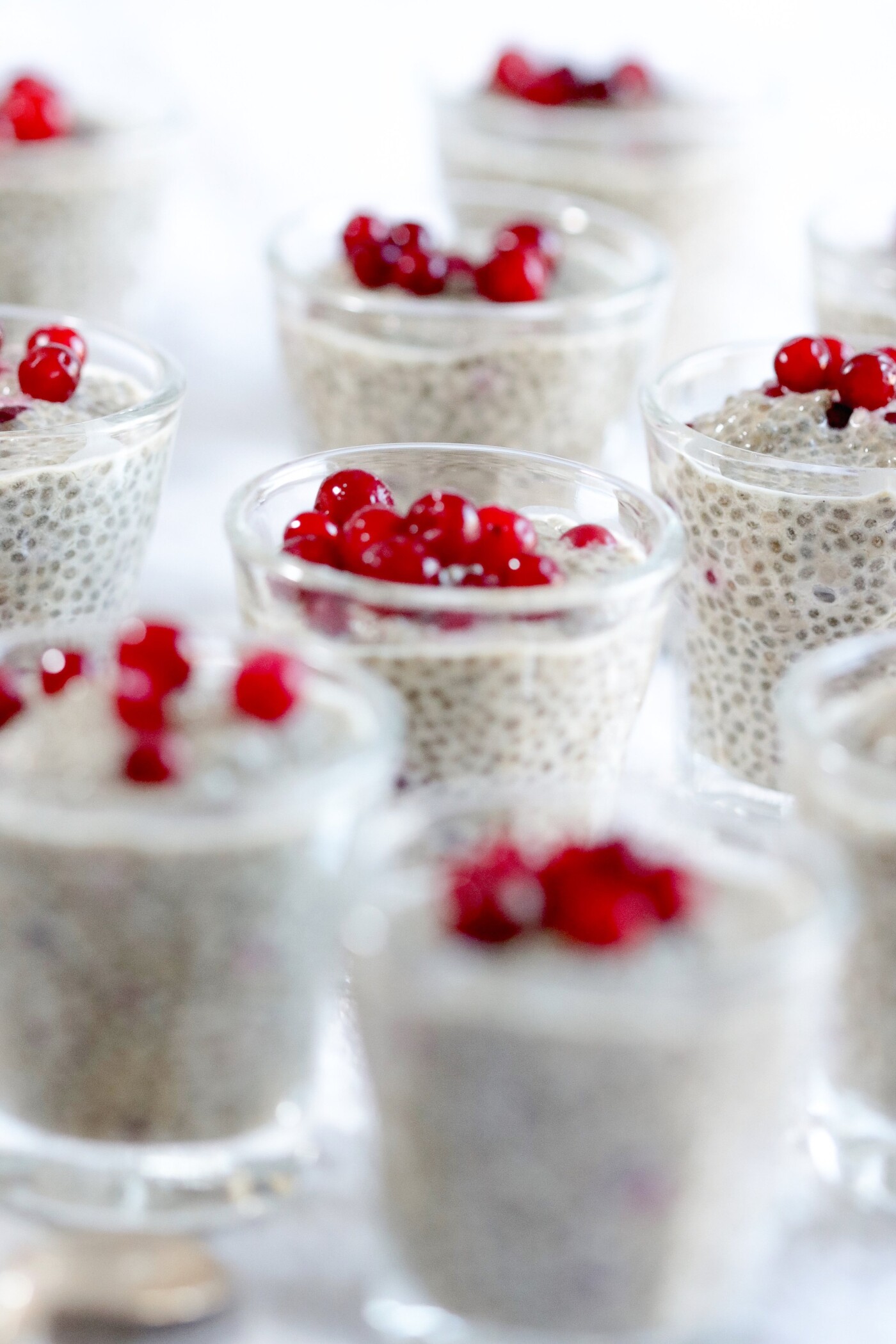  This is a Gingerbread Chia Pudding with lingonberries. Perfect for christmas breakfast or for a in between meals "mellanmål" as we say in sweden