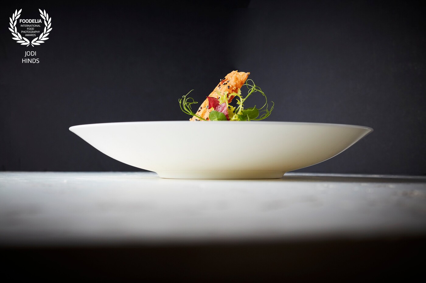 Stunning dish shot for Royal Crown Derby and Park Lane Hilton Hotel, London<br />
The shape of the dish really highlights the dish.<br />
