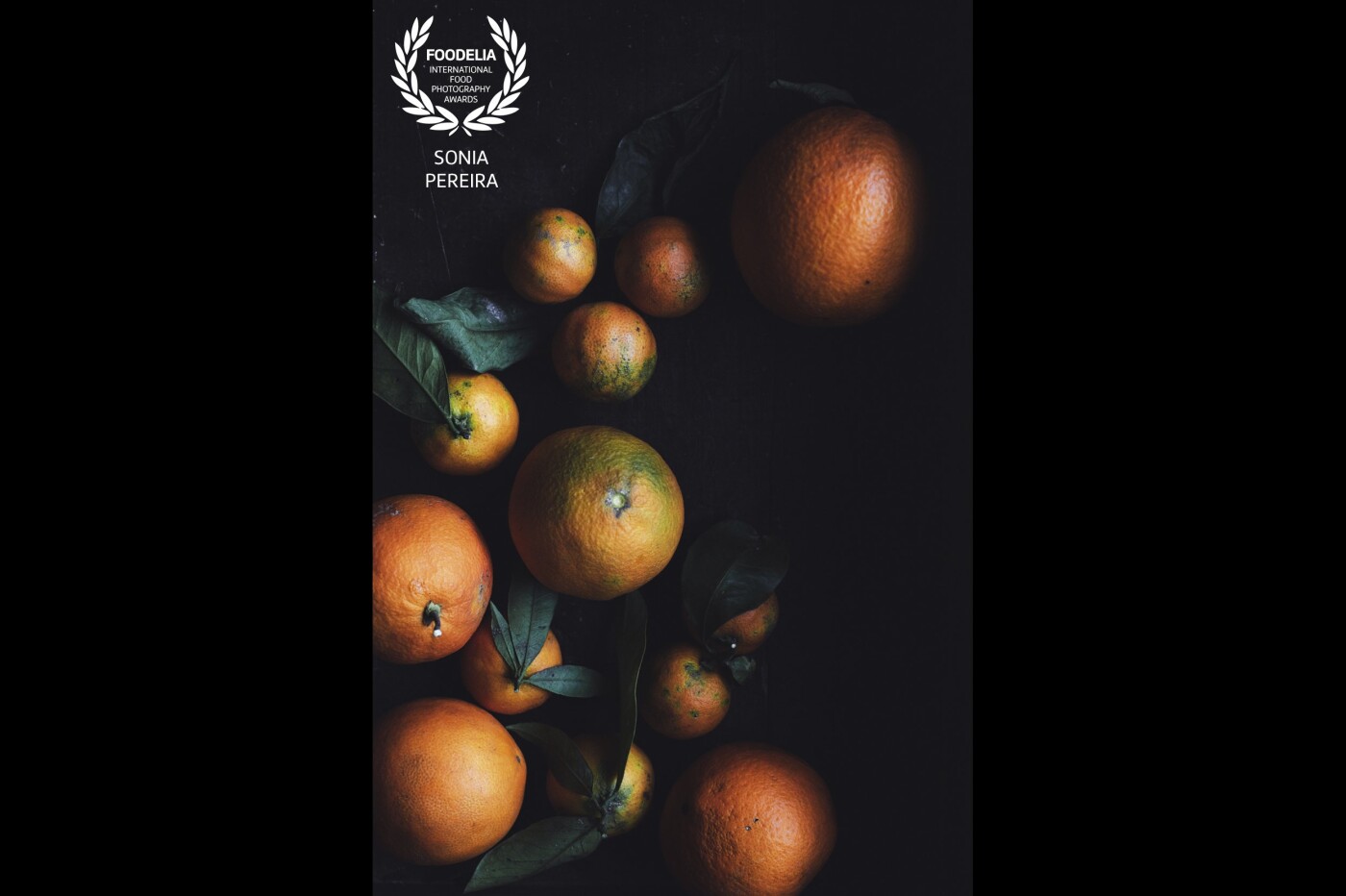 Oranges and Clementines still life capture to represent the citrus season.<br />
Shot with natural light inside a box to create more shadows and a moody look.