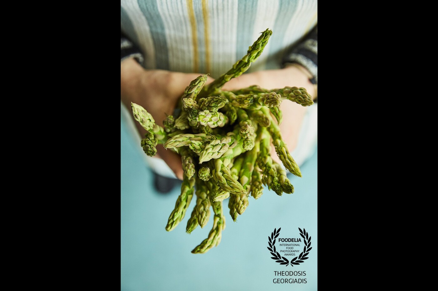 A handful of fresh green asparagus. The shot was made for “gastronomos” the leasing food magazine of Greece. The shot was made in the studio using daylight. 