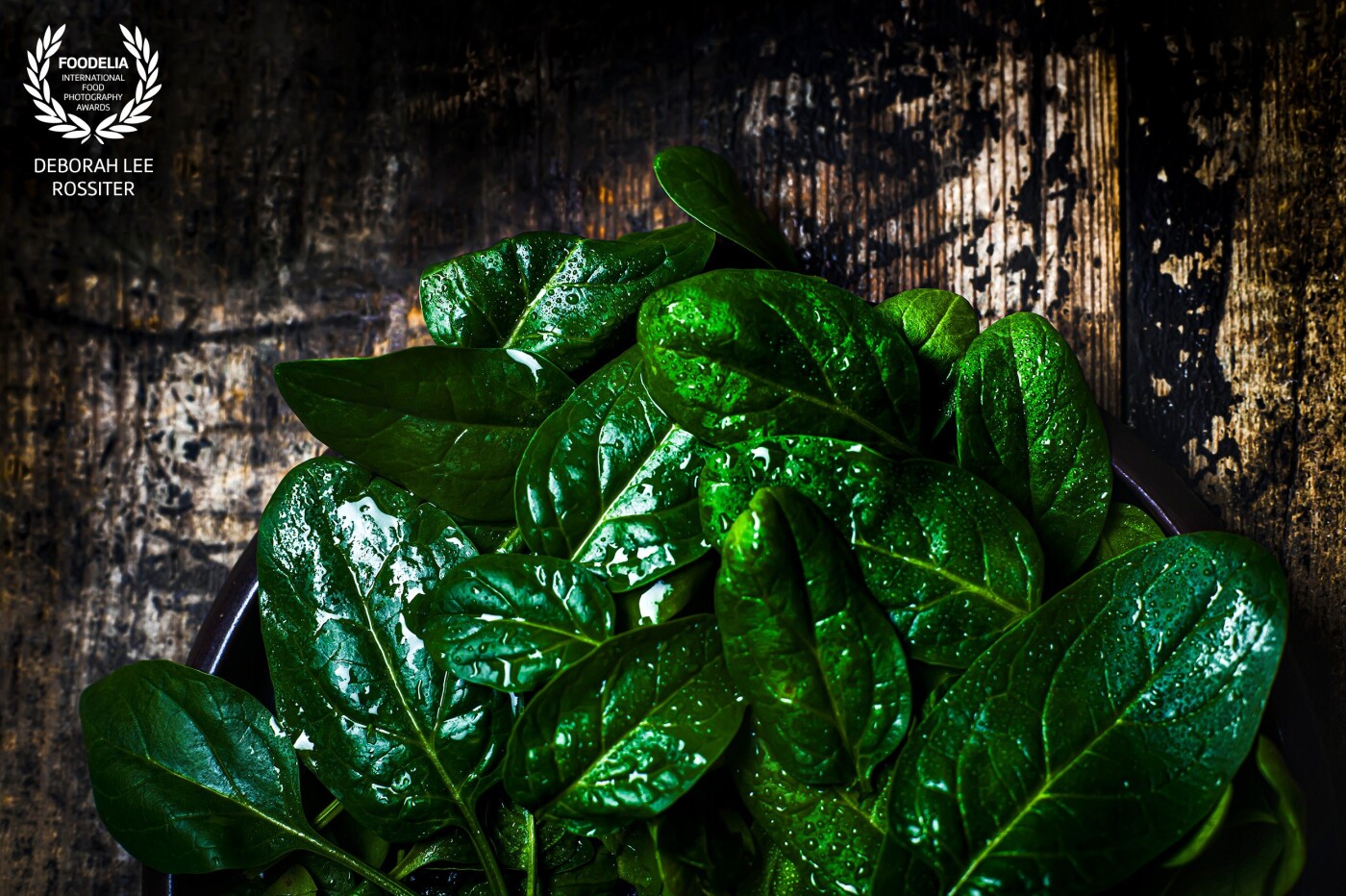 Last of the organic  spinach picked fresh from the garden washed and ready to lightly steam as part of my plant-based diet <br />
Nikon D850
