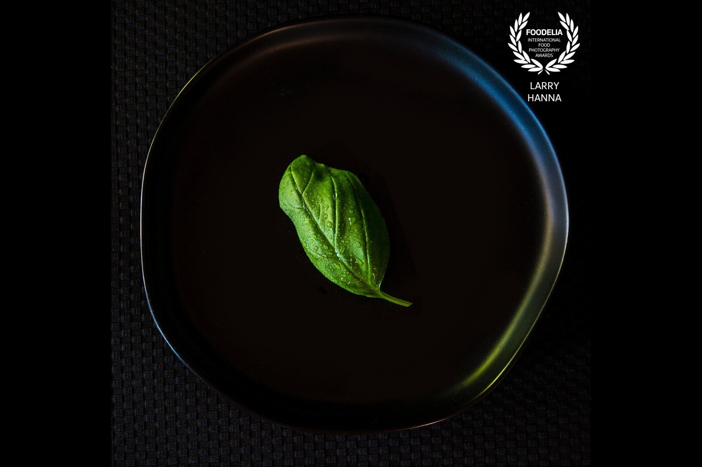 I have always loved the beauty of basil leaves.  However, they are usually only seen as part of a food dish.  I chose to showcase this leaf all by itself framed by an irregular round black plate on a blak placemat to isolate the leaf.  Photographed with natural light, my favorite light source.