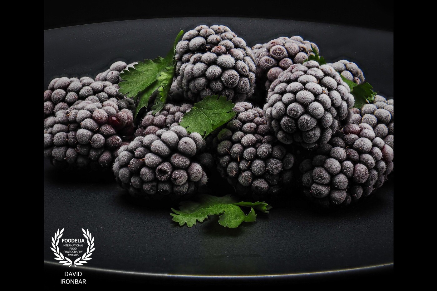 Blackberries contain a wide array of important nutrients such as potassium, magnesium, and calcium, as well as vitamins A, C, E, and B vitamins. They are also a rich source of anthocyanins, powerful antioxidants that give blackberries their deep purple color.