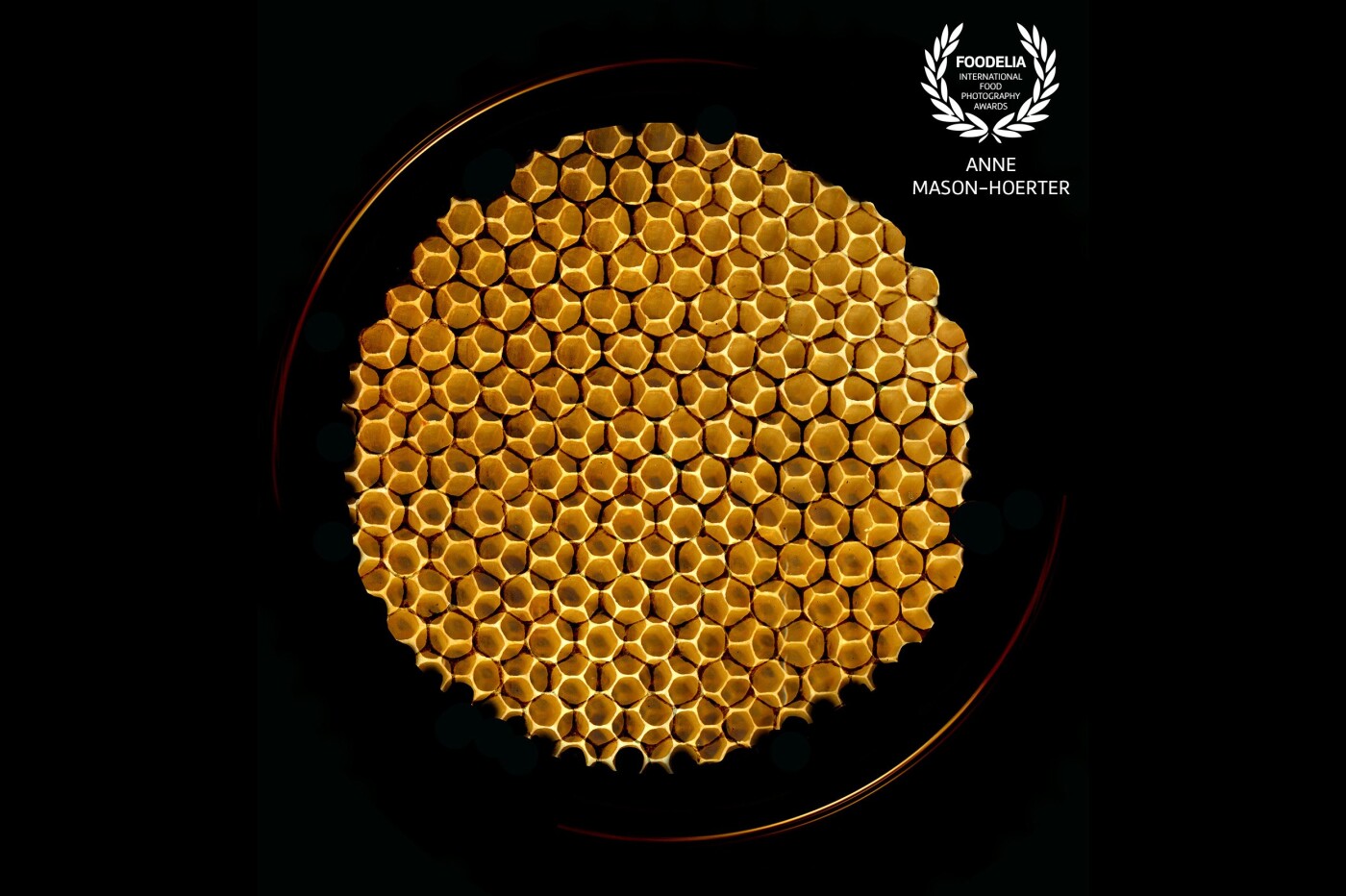Multiple scanned data combined with camera data of a Honeycomb. I wanted to approach this subject matter from a unique perspective and produce an image that would emphasise the incredible structure. 