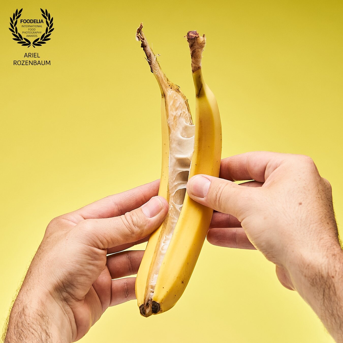 This past August 25th, National Banana Split Day, I managed to obtain a special kind of banana. They aren't available at just any grocery store and are more often than not found in your photo manipulation program of choice.