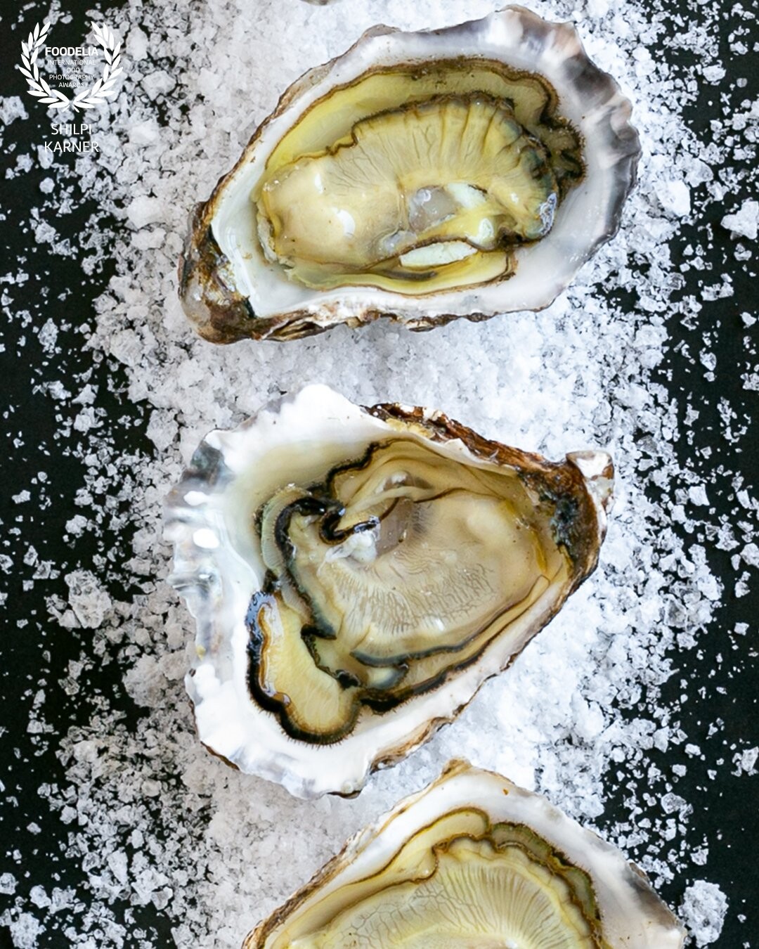 These native rock oysters from the Nambucca River estuary south of Coffs Harbour are stunning!! Sydney rock oysters are world renowned for their rich and creamy taste, and those that flourish in the Nambucca River – known as an oyster ‘sweet spot’, are quite likely some of the best oysters you will ever have the pleasure to devour. The Nambucca is blessed with a very clean river system, fed from highly mineralised water that comes straight off the mountains, which is why the shells are so white and the flavour so unique. <br />
I was nervous and excited to shoot these oysters as it was my first time! With a few tips from our Oyster sommelier I was able to style these gems in a simple way allowing their natural textures and colours to shine. By tilting the shell in different ways, I was also able to see how the light played off and when I was happy with the set up , I clicked this image with my 100mm lens.