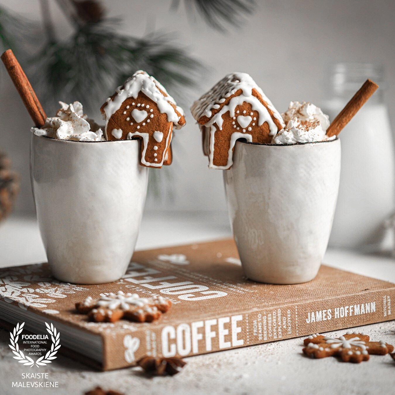 I am a very dark and moody style food photography lover, but with these little gingerbread houses I wanted to create a light and airy feeling.