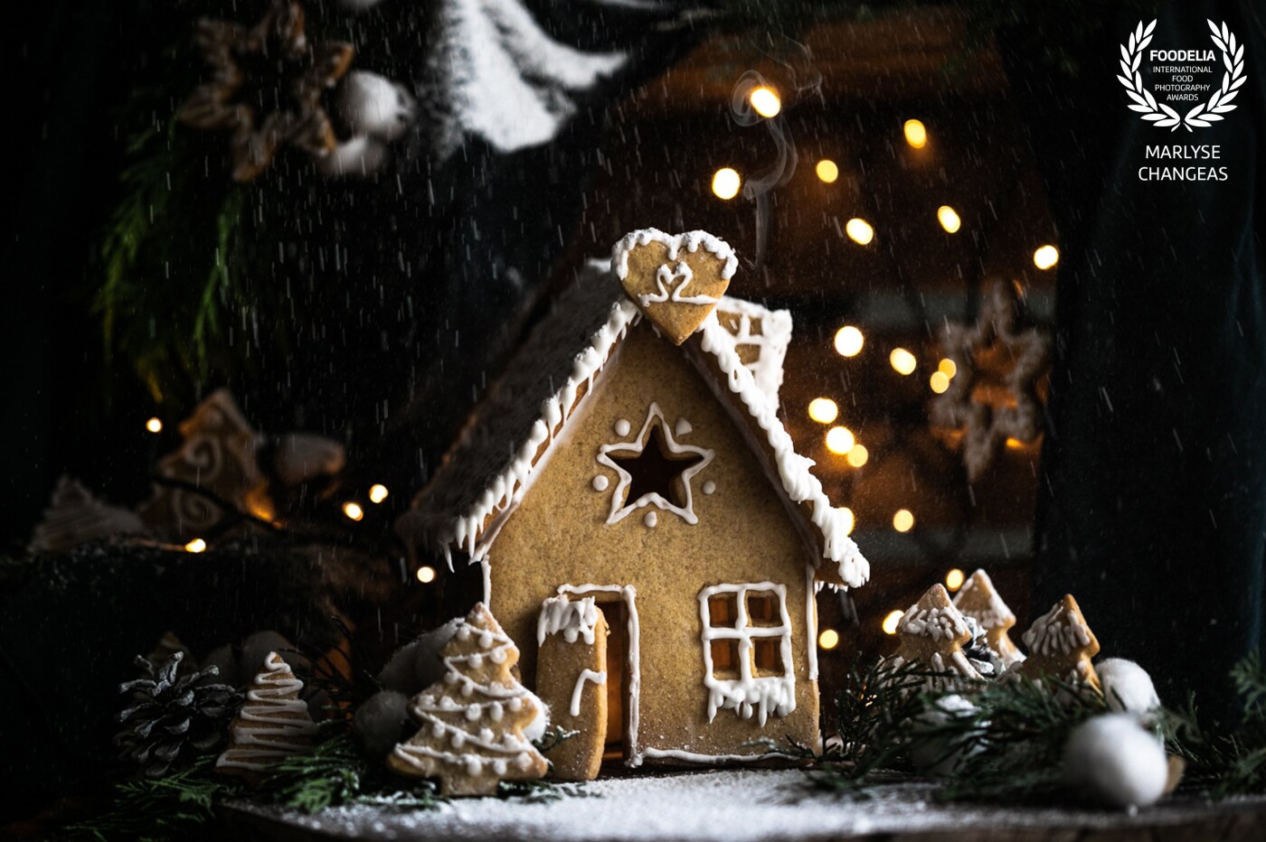 C'est l'hiver et cuisiner une maison en gรขteau et y crรฉer une ambiance de Noรซl avec un peu de neige en sucre glace et des lumiรจres ร l'arriรจre pour apporter un peu de chaleur.<br />
<br />
Une ambiance c'est ce que j'ai voulu retransmettre dans cette image. Les sapins apportent une touche de rรฉalisme.