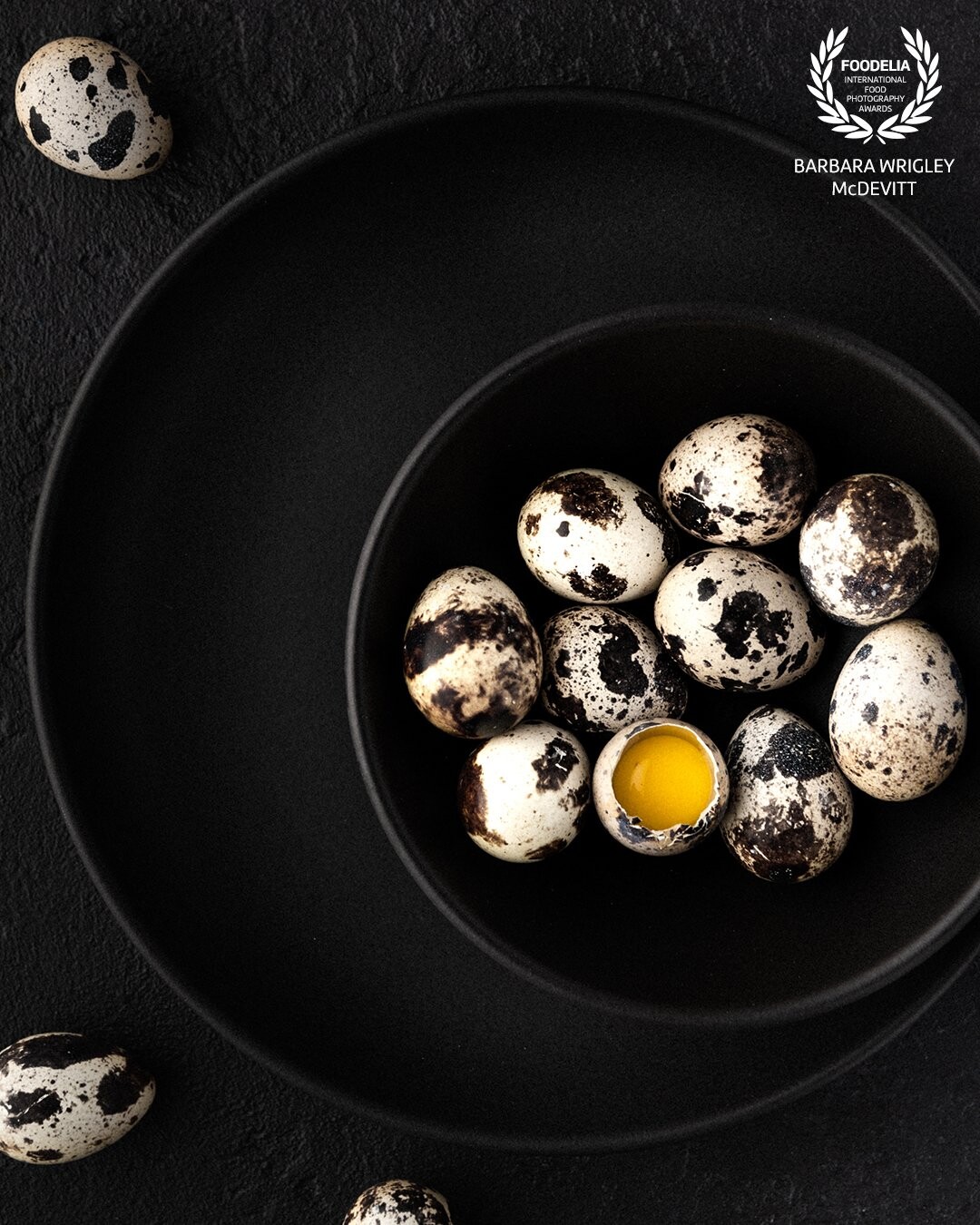 "Why am I being singled out?" asked the quail egg.  "No, no" I explained. You are just the best of the best.  Shot with a Nikon D850 using a Nikkor 24-70mm f/2.8 lens at 60mm (f/7.1, 1/200, ISO 100).  Profoto B10 Plus mounted in a 2X3 softbox.