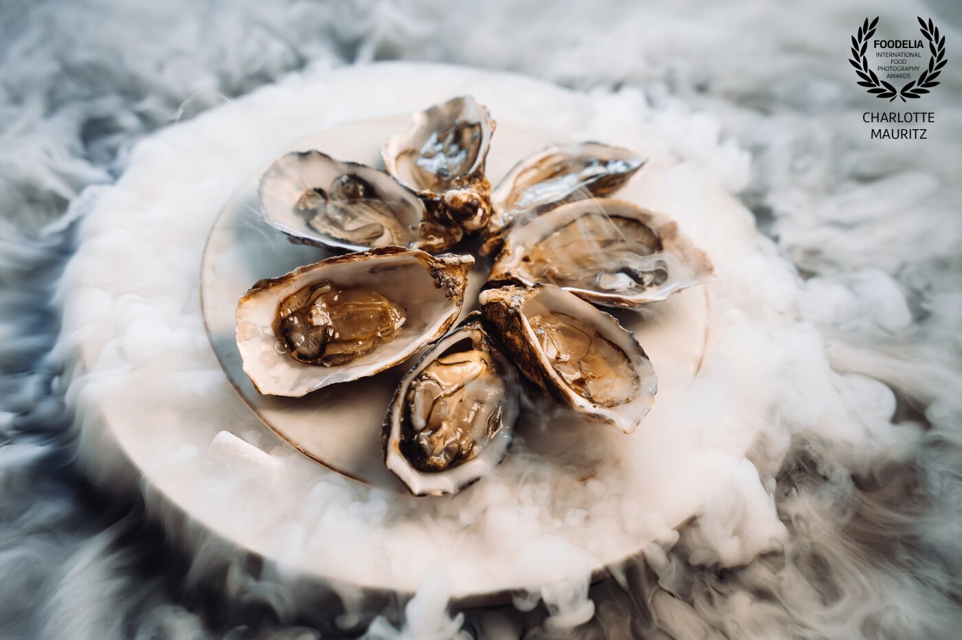 I was inspired to do something with dry ice. These Dutch oysters were the best models. I was excited to work with dry ice because of the movement.