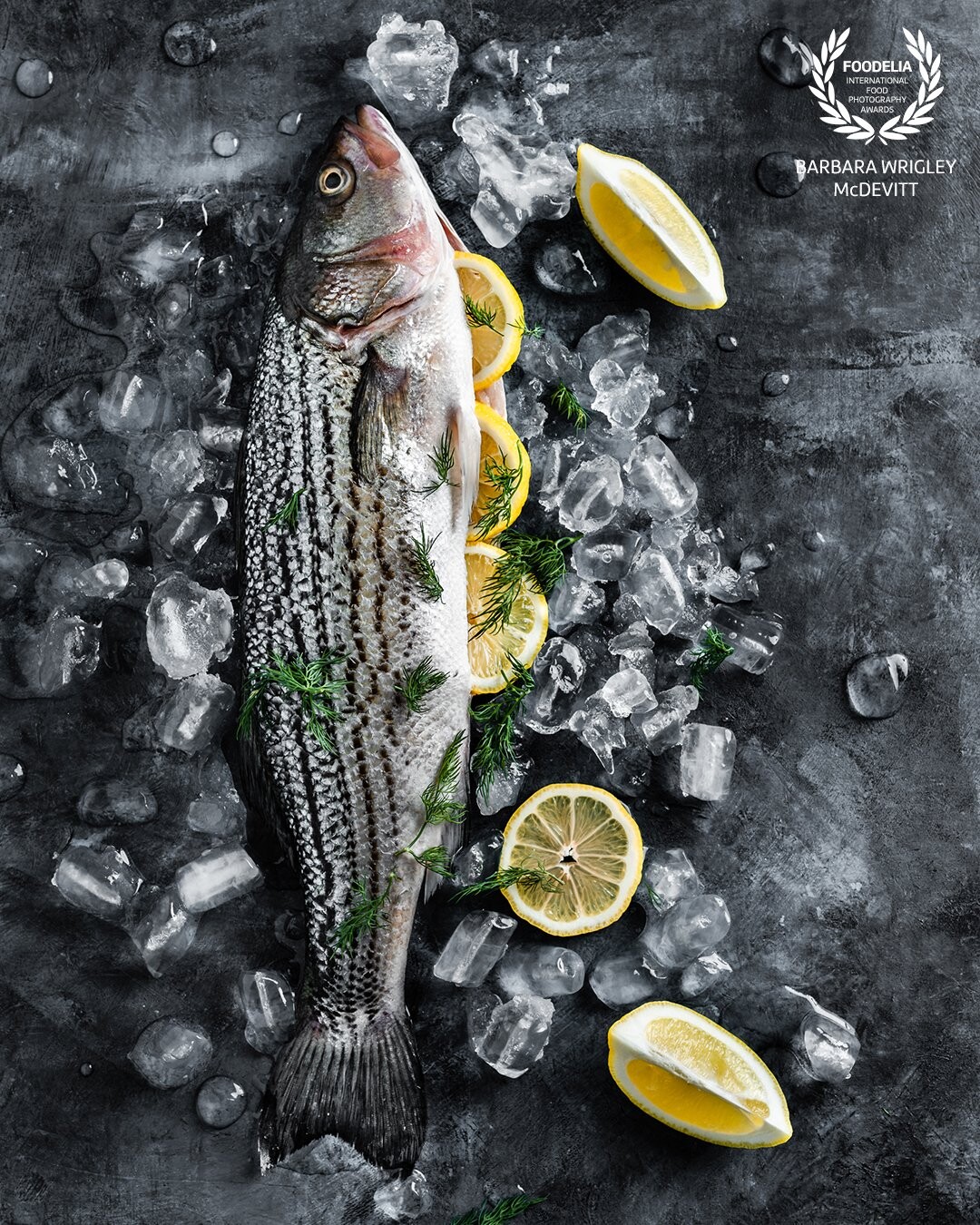 Black sea bass is alleged to be the tastiest fish in the ocean. The flavor is fresh and light, receptive to almost any combination of flavors and techniques.  In the pre-preparation I used parsley and lemon.  Shot with a Nikon D-810 and a Profoto B-1 side lighting.
