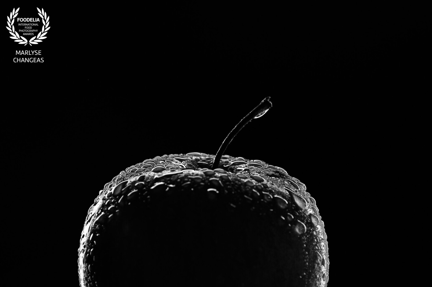 Jouer avec la lumière pour apporter un volume, une douceur. La silhouette d’une simple pomme donne de l’émotion.<br />
Le noir et blanc est parfait pour apporter l’essentiel à cette image.