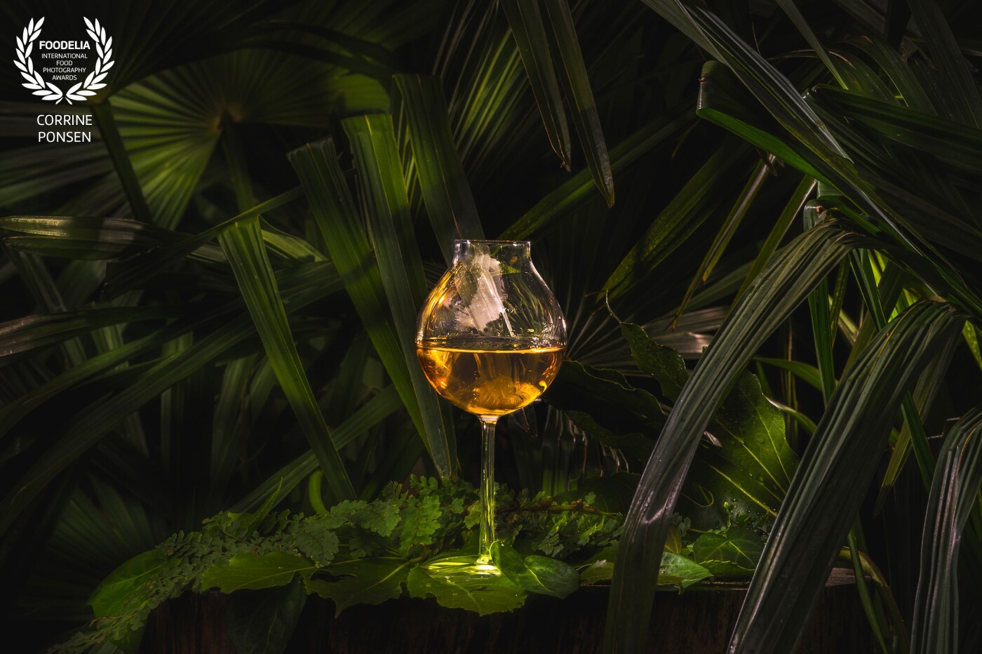 For a company who sells whiskeyglasses I made this picture with 2 flashes. On the left is a flash with octabox and grid as the mainlight on the right at the back I used a backlight just to give some light and shadow on the leaves. The background are some palmes in my own garden. So this picture is made outside in the backyard, wich makes it very special to me.