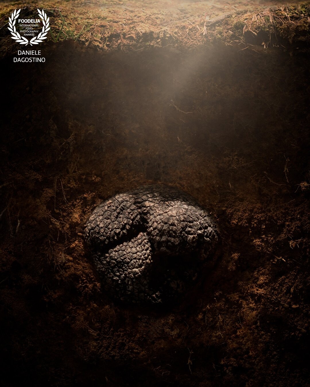 This shot was created for Urbani Tartufi, I liked to represent the truffle in its natural environment ... underground!<br />
A delicate light from above discovers the shape of this jewel of nature.<br />
Photographed with Nikon D810 and SB900 flash.
