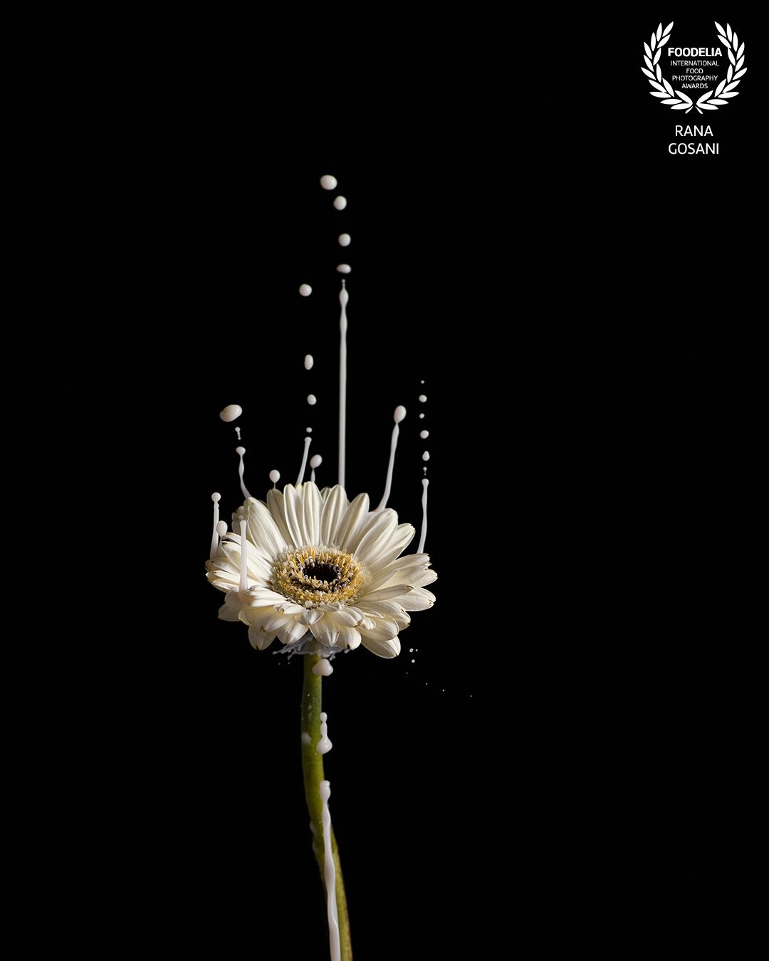 This photo represents simplicity in a beauty.  Lonely flower that stays pure even in the darkest times.  Yin and yang in a alternative way. <br />
<br />
The pictures was captured upside down to imitate a space without gravity, giving it a light feeling of levitation.<br />
<br />
I also wanted to merge the food and inedible product to show that they can live together as a product/ food photo and be in a controversy.