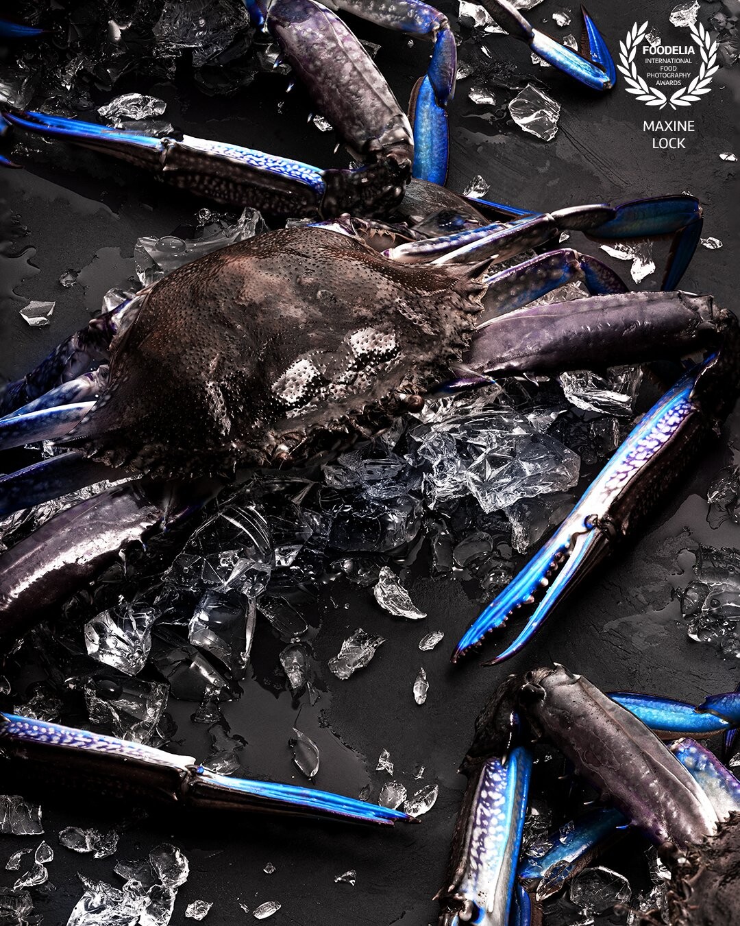 I love the blue colours on the blue swimmer crabs, so I thought I would do a personal project with them, and really focus in on the blue colours while darkening the other parts of both the crabs and the image itself.