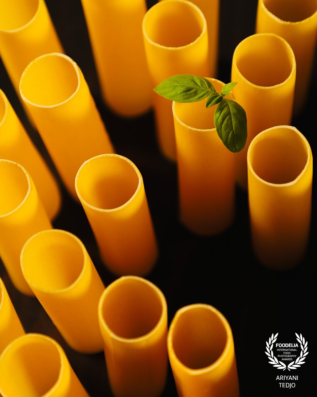 An artwork of cannelloni tubes, an arrangement inspired by a city scene of skyscrapers. The scene is accented with a sprig of fresh basil.