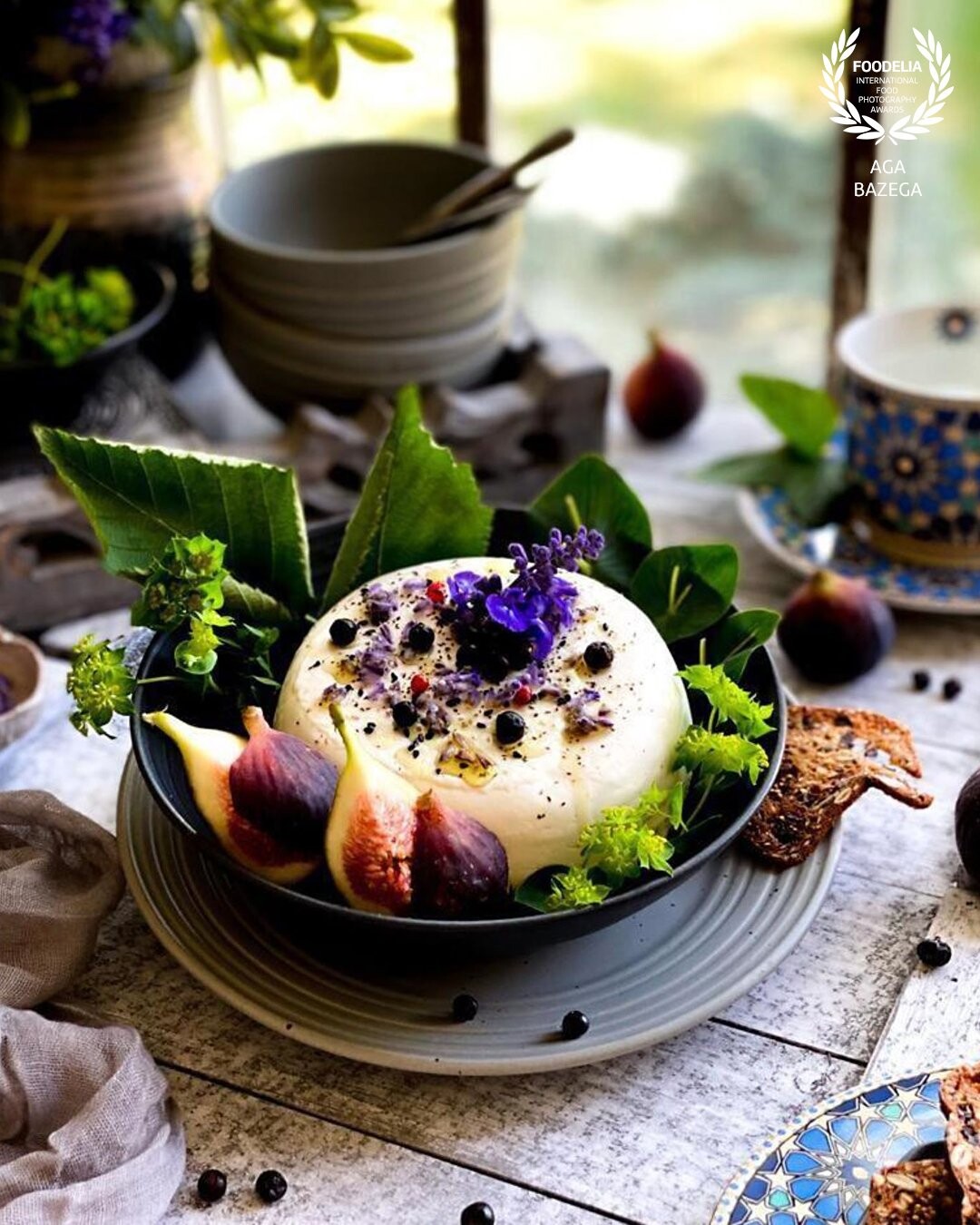 Baked goat cheese with fresh figs, herbs and salvia flowers. Image created for photography contest. That appetizer was shot in my studio, using back lighting.