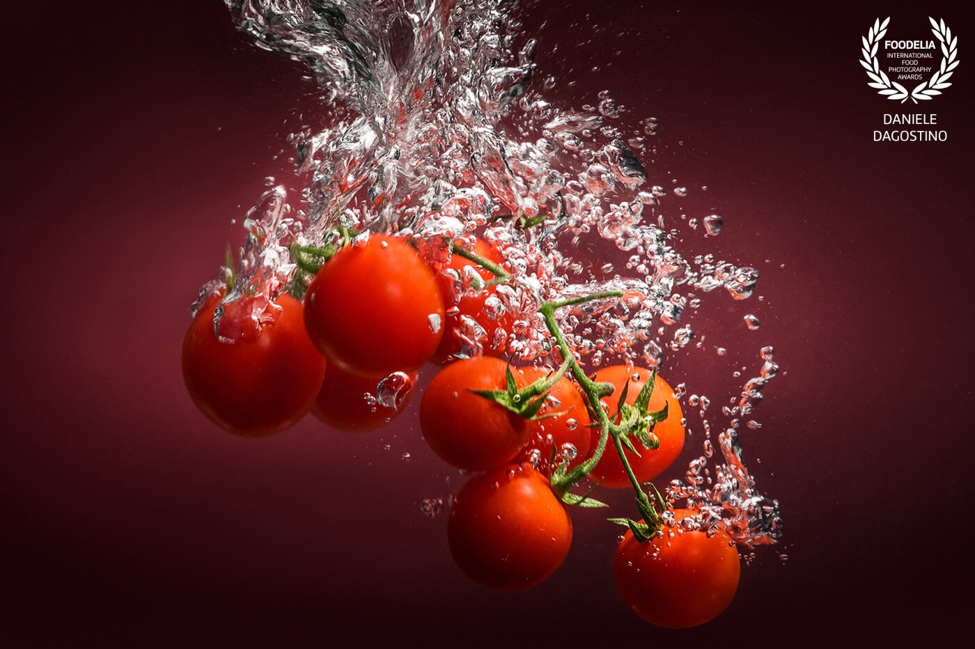 Dip in water while washing tomato in the process for Italian tomato sauce, one of the most important ingredients in the italian kitchen.<br />
Shoot with nikon D850 and 2 light strobos.