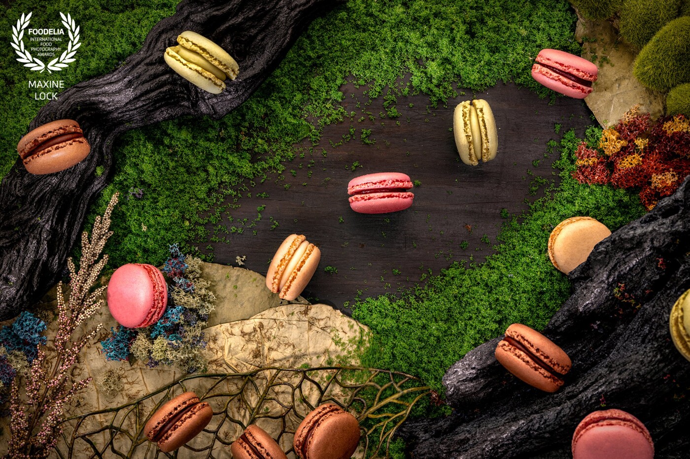 Different colours of Macarons in a logs & moss forest scene. Colours of the Macarons includes pink for strawberry flavours, white for peach, green for macha and brown for chocolate.