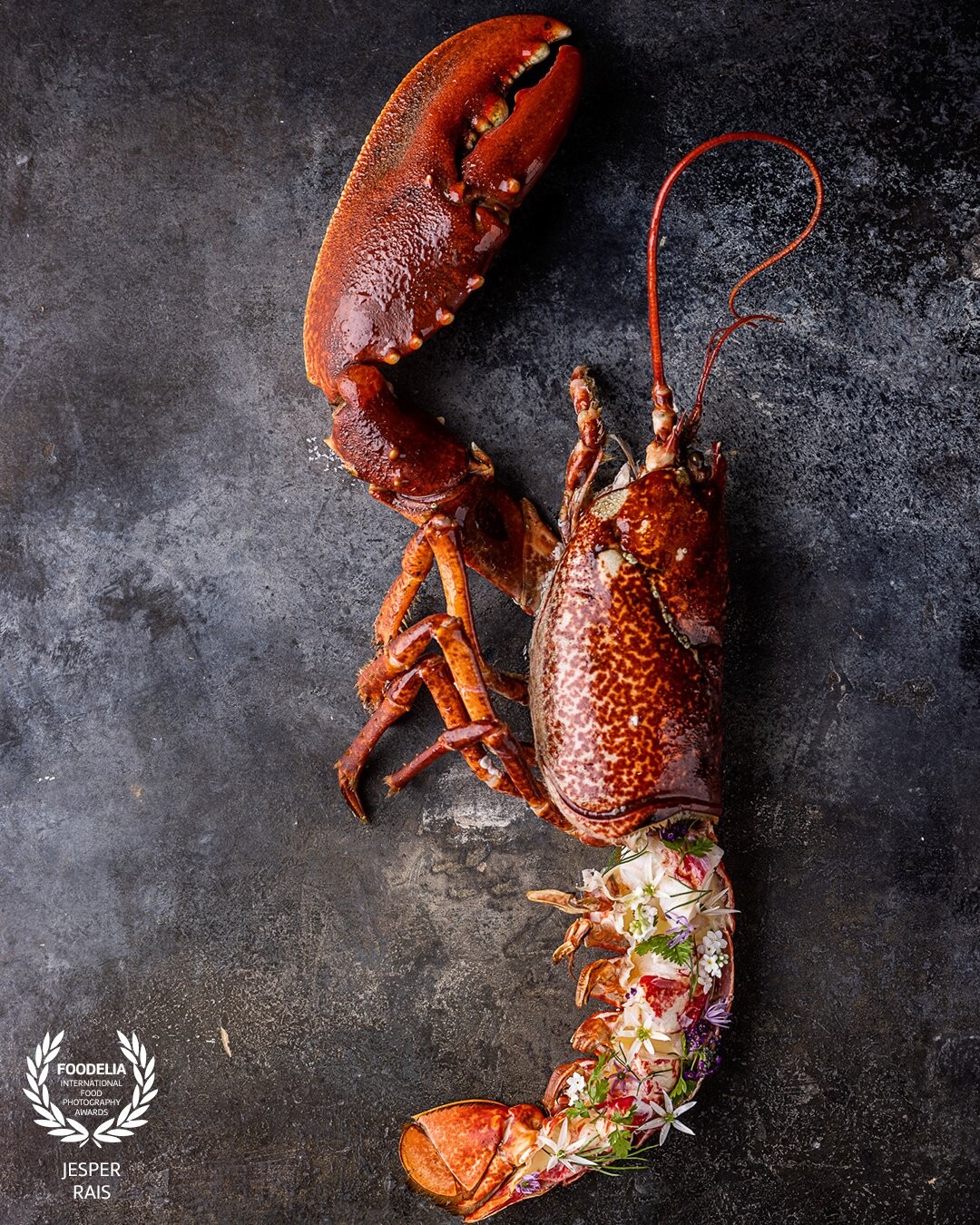 Beautiful lobster serving - Coverpicture from the newest book "SHELLFISH" by photographer @raisfoto and chef @dennisrafn from Denmark