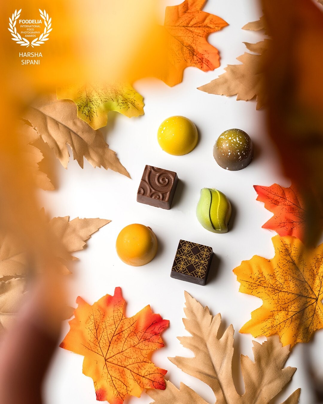 Fall themed photography for my favorite chocolate brand Dallmann Confectionery ‘thanksgiving box’. My setup and colors were amazing blend together!