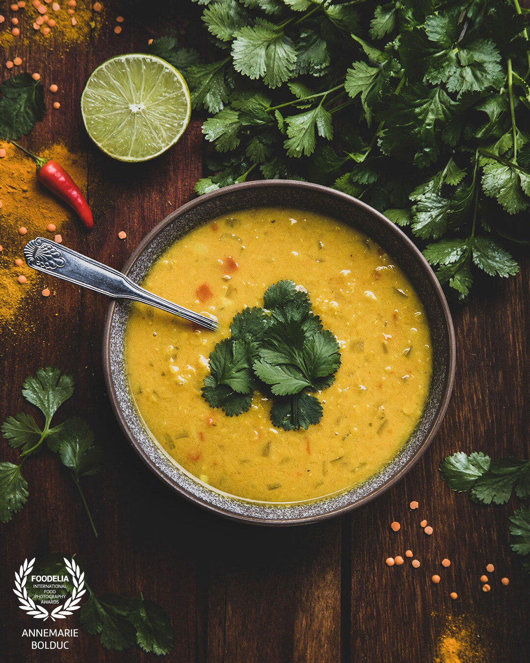 A red lentil curry soup with its ingredients, including an essential for the topping: coriander leaves. My backyard garden is where I source fresh herbs<br />
for the kitchen and for my food photography.