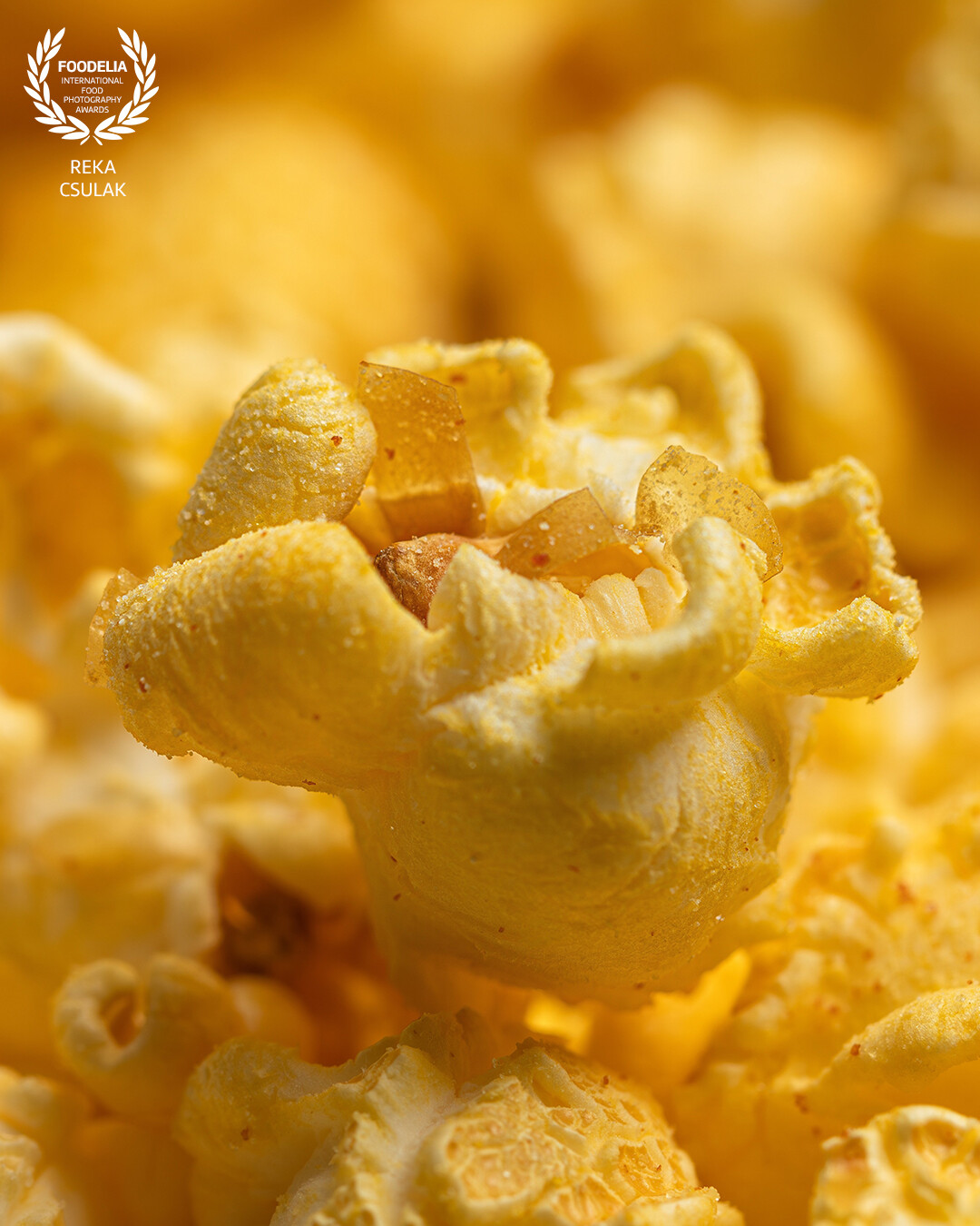 You probably never realised, how versatile shapes and shades are included in your popcorn bag, so it's now my pleasure to highlight the beauty of a single piece of popcorn in this macro photo.