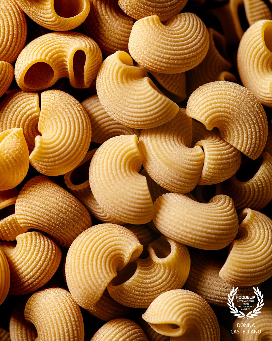 I couldn't resist how the light interacted with lines and texture of these perfectly shaped lumache pasta!