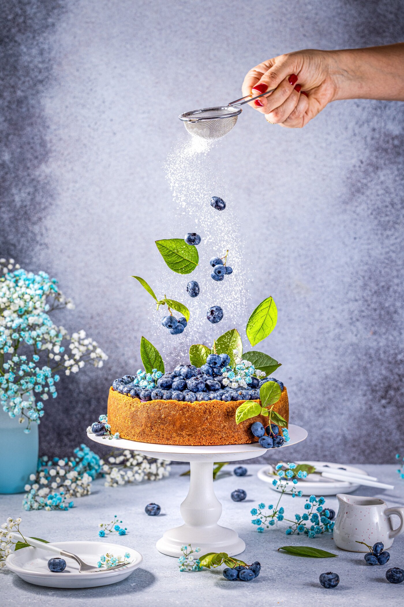 Sweet creamy blueberry cheesecake with fresh blueberries and whipped cream. Shooting for pâtisserie,...