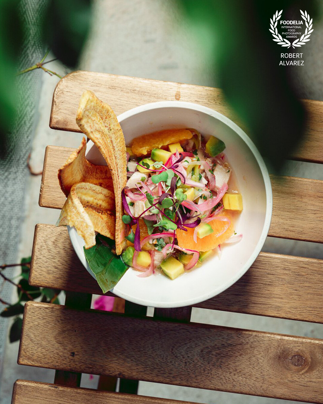 At Botanico in Calle Loiza San Juan, we tried to include nature and green in each shot, and the photoshoot came out awesome.  This ceviche was beautiful, and we added a little bit of the surroundings for the final touch.
