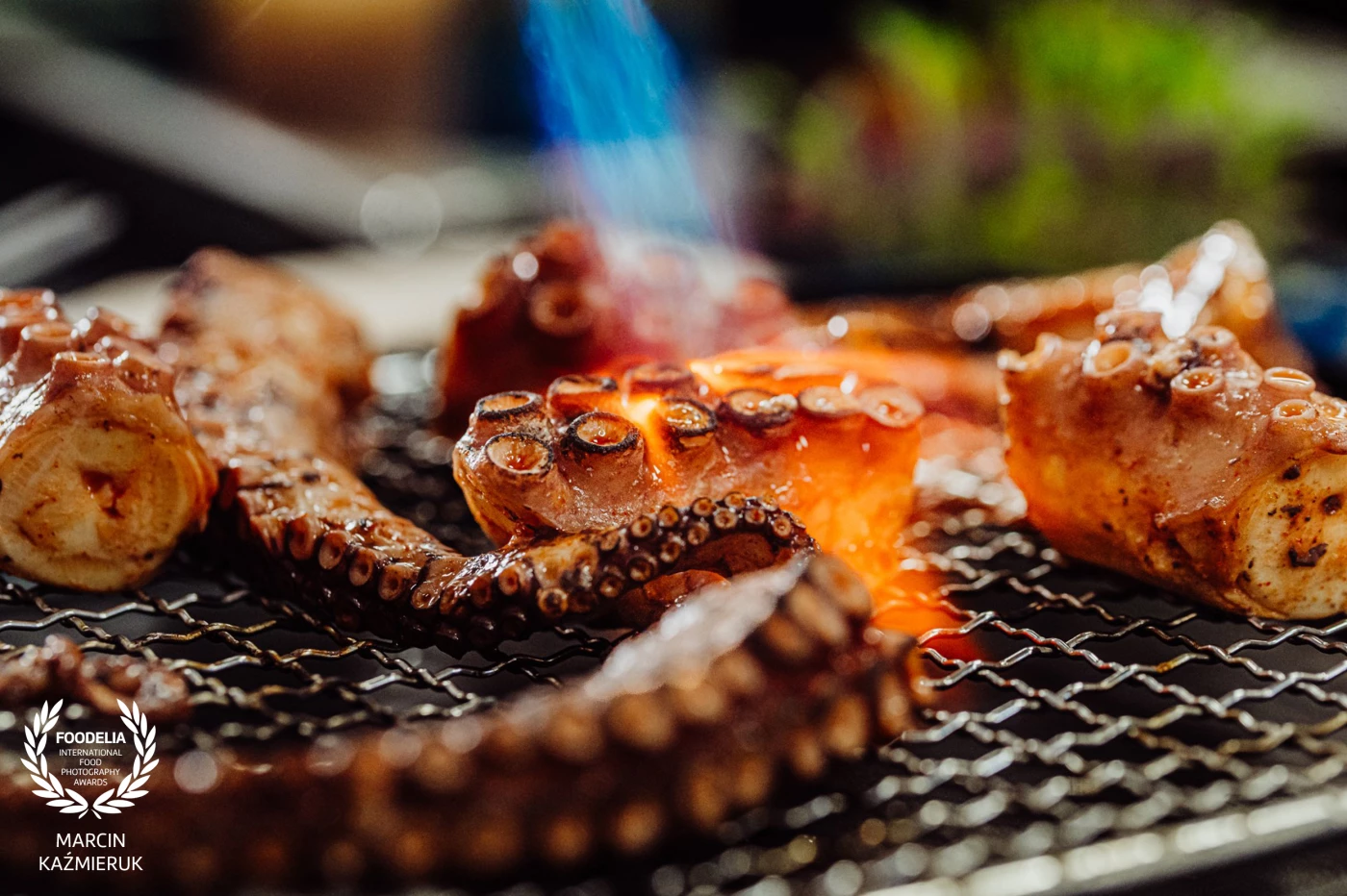 Photo taken during a plating workshop with the outstanding chef Ernest Jagodziński. He showed how to use beautiful Fine Dine plates to present some of the dishes.<br />
<br />
Here preparation of baked octopus!<br />
<br />
@marcin4funphotos<br />
@chefstablebyernest<br />
@ernest.jagodzinski.7<br />
@finedineeurope<br />
@gastrohouse1<br />
@fotofoodie<br />
@nikon_pl @nikoneurope @nikonusa @godox_global