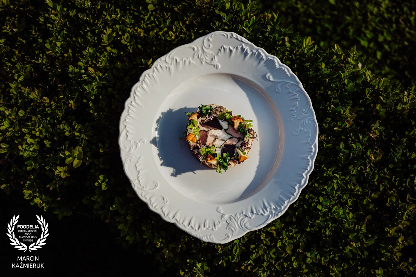 Dish created by chef Mateusz Szpytma <br />
Guinea fowl /goose stomach/celery/chanterelles/<br />
<br />
@marcin4funphotos<br />
@szpytmamateusz<br />
@fotofoodie<br />
@nikon_pl @nikoneurope @nikonusa @godox_global