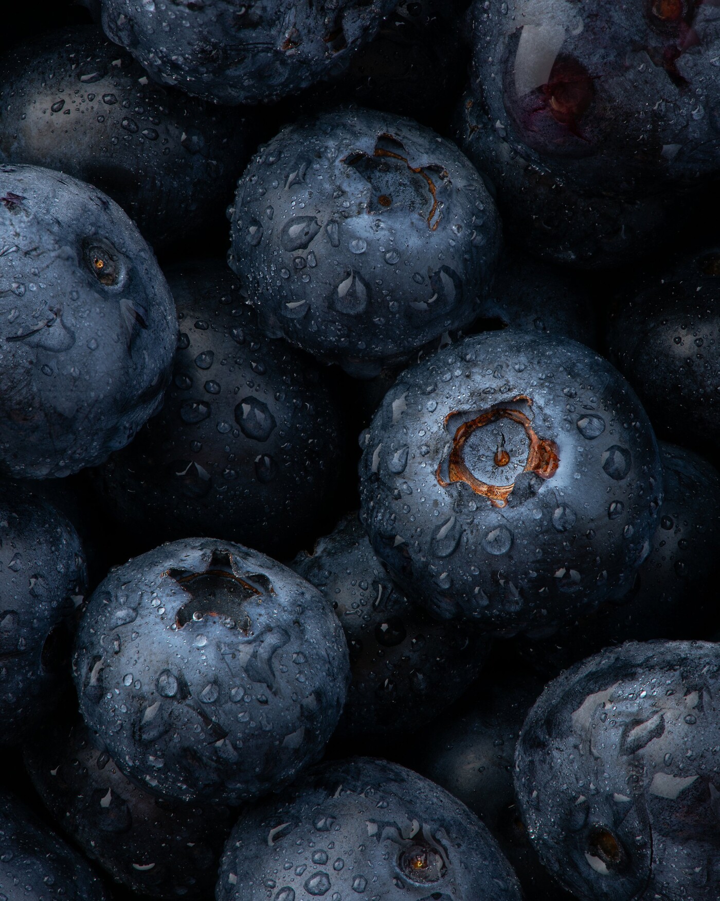 Blueberries, were called “star fruits” by North American
indigenous peoples because of the five-poin...
