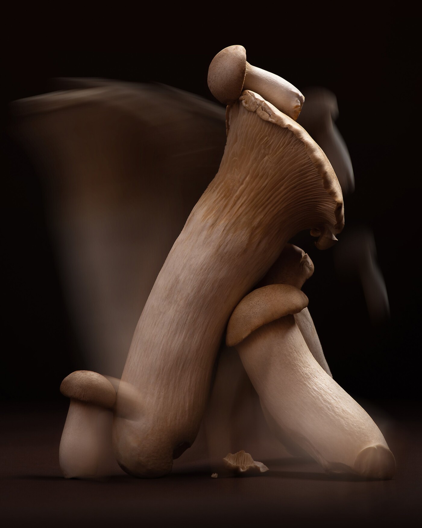 King trumpet mushrooms are unique in that they are resistant to extreme environmental conditions.
I...