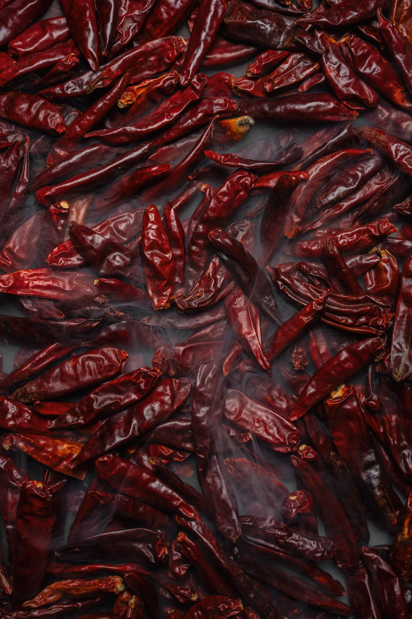 The color of Sichuan is chili red.

Work done for The Old House restaurant.

Lisbon, Portugal