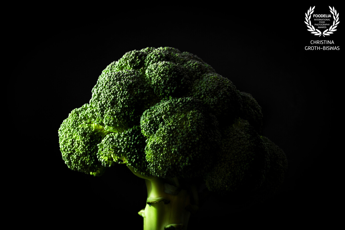 Portrait of an organic broccoli. This one was so fresh and perfect that I had to take its picture using only one artificial light source.