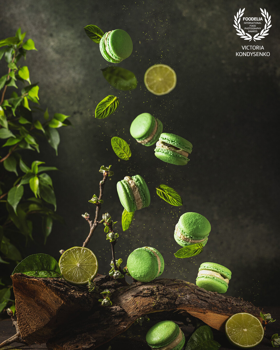 Sweet The Forest Song! Shooting for pâtisserie, sweet macaroons with the taste of mint, lime and matcha tea